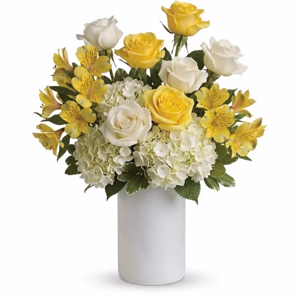 Citrus Glow Arrangement
flowers cost