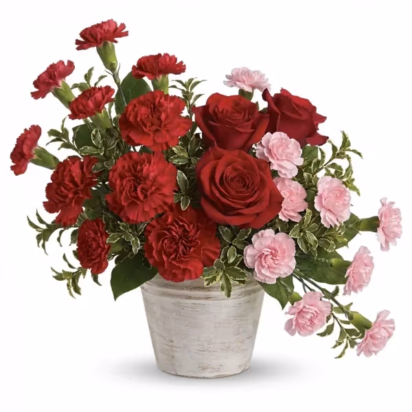 Secret Embrace Arrangement
flowers cost